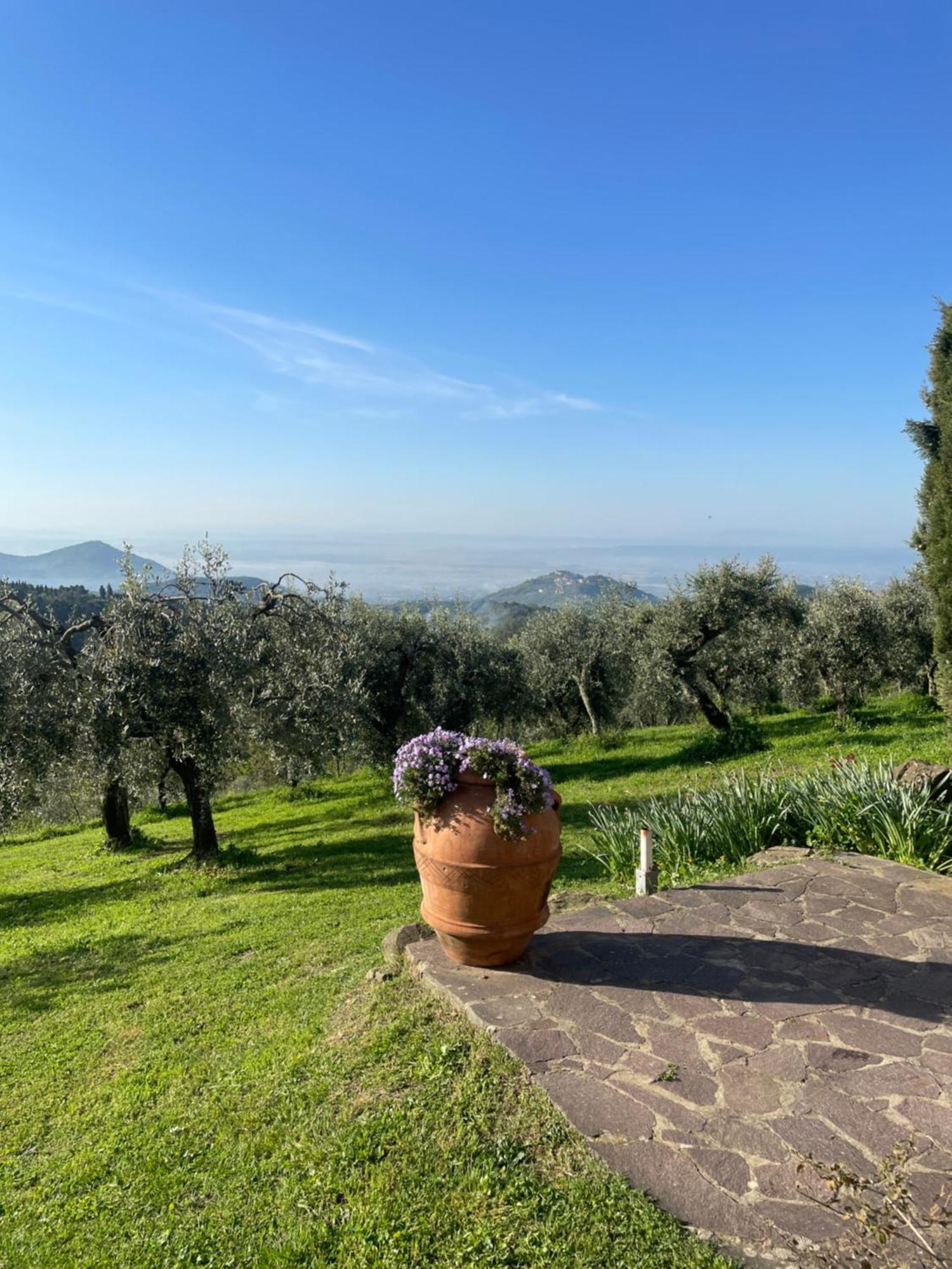 Podere Il Poggio Avaglio Екстериор снимка